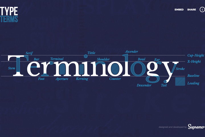 Type Terms website preview
